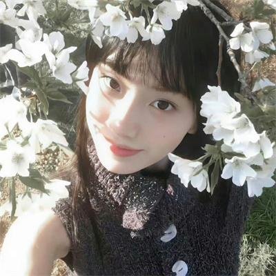 报仇雪恨