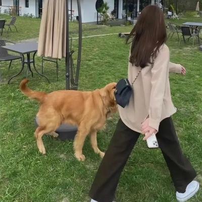 小镇疑云